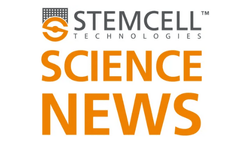 StemCell SN